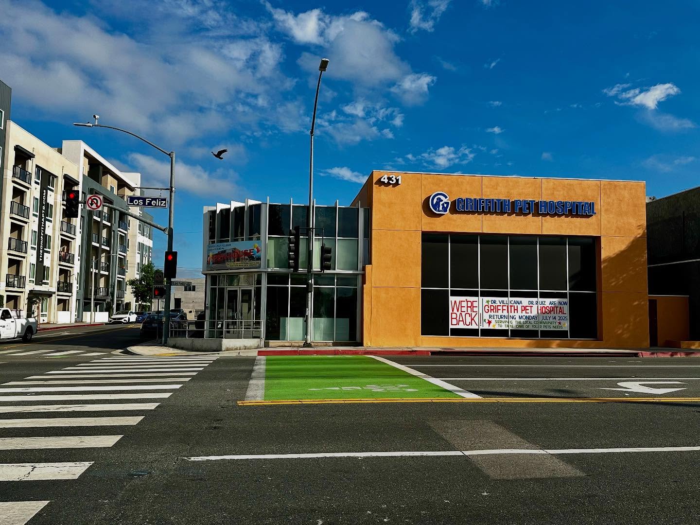 Veterinarian in Glendale, CA